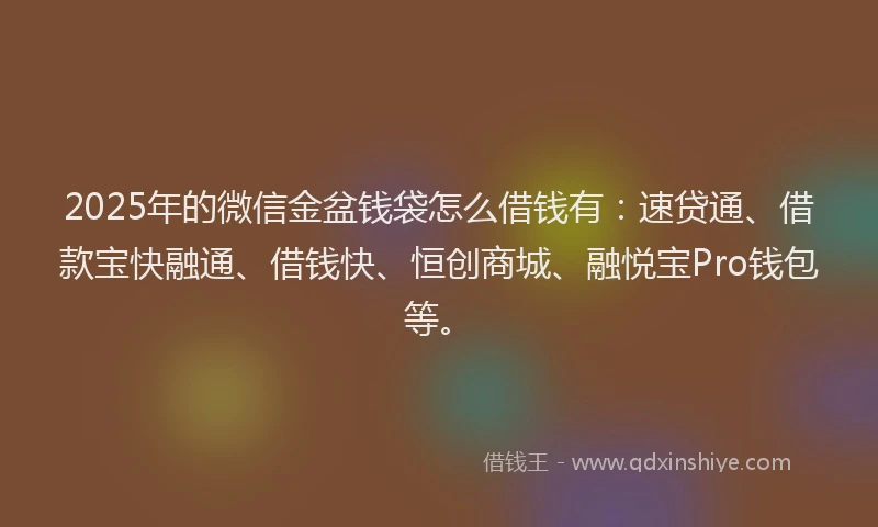 2025年的微信金盆钱袋怎么借钱有：速贷通、借款宝快融通、借钱快、恒创商城、融悦宝Pro钱包等。