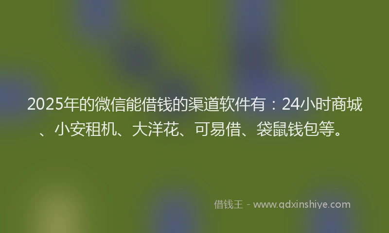2025年的微信能借钱的渠道软件有：24小时商城、小安租机、大洋花、可易借、袋鼠钱包等。