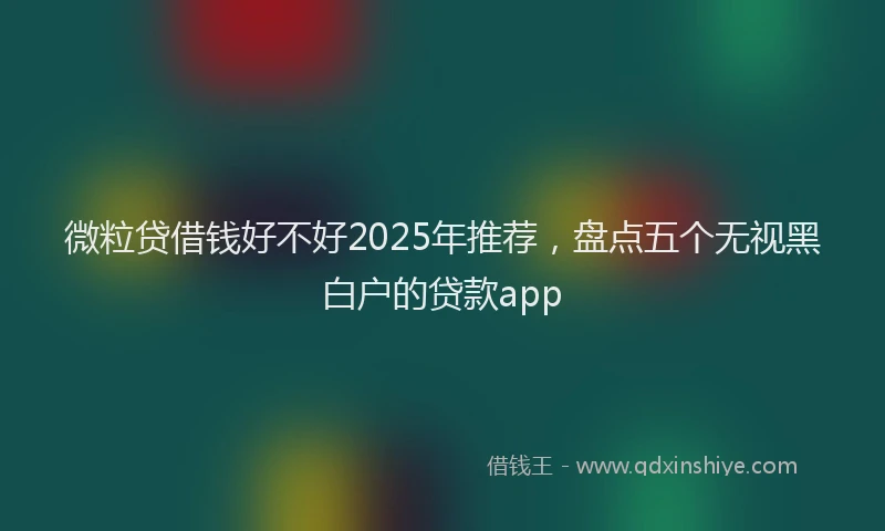 微粒贷借钱好不好2025年推荐，盘点五个无视黑白户的贷款app