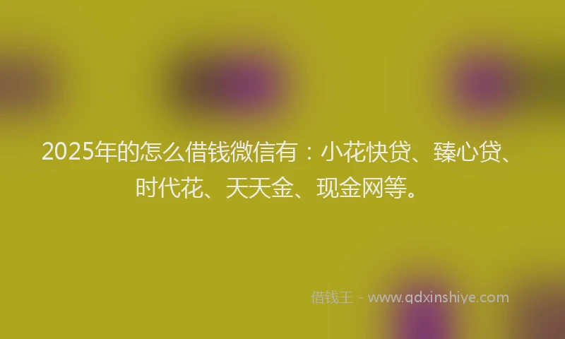 2025年的怎么借钱微信有：小花快贷、臻心贷、时代花、天天金、现金网等。