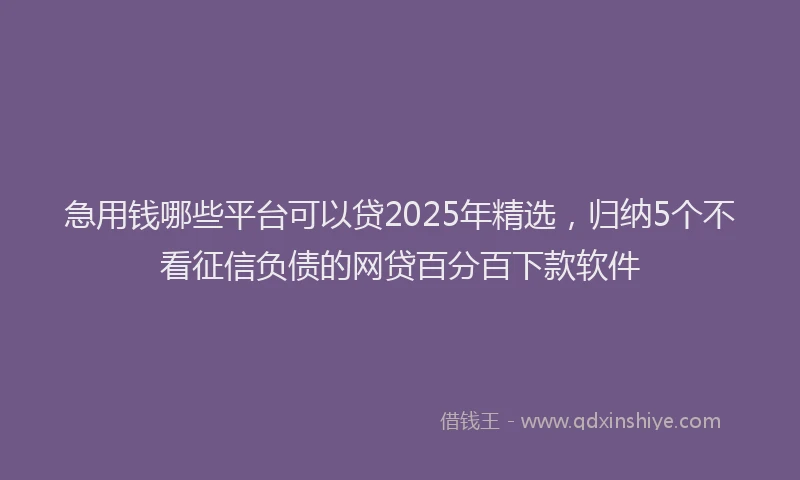 急用钱哪些平台可以贷2025年精选，归纳5个不看征信负债的网贷百分百下款软件