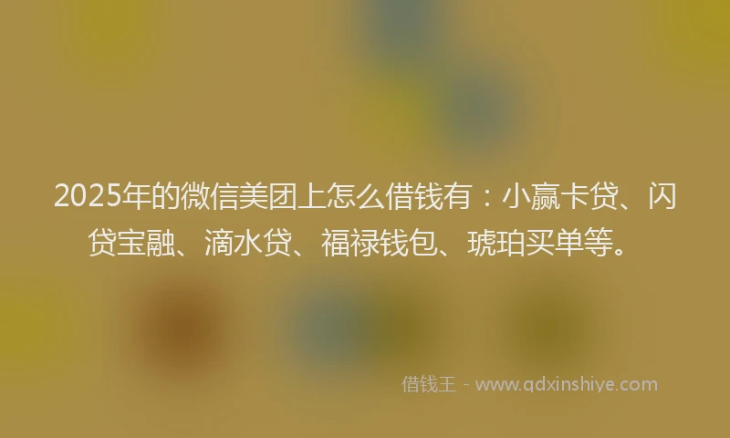 2025年的微信美团上怎么借钱有：小赢卡贷、闪贷宝融、滴水贷、福禄钱包、琥珀买单等。