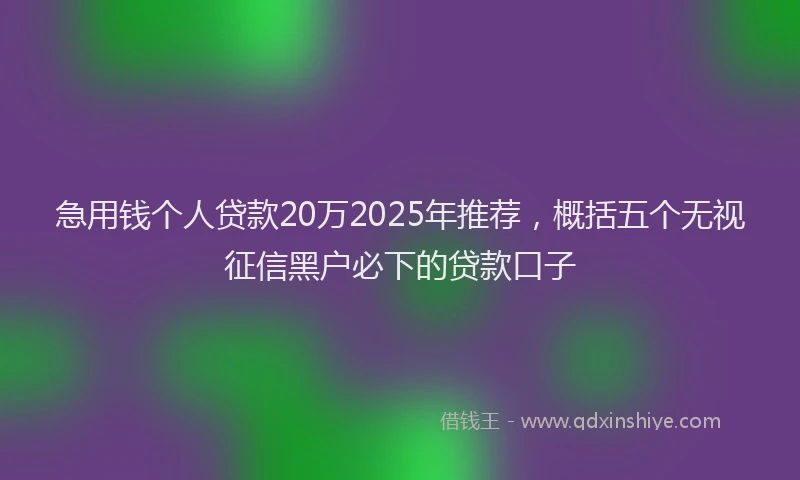 急用钱个人贷款20万2025年推荐，概括五个无视征信黑户必下的贷款口子