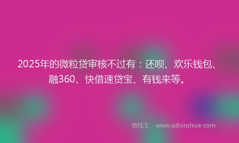 2025年的微粒贷审核不过有：还呗、欢乐钱包、融360、快借速贷宝、有钱来等。