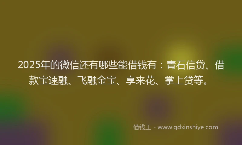 2025年的微信还有哪些能借钱有：青石信贷、借款宝速融、飞融金宝、享来花、掌上贷等。