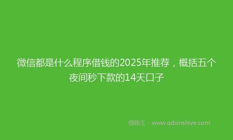 微信都是什么程序借钱的2025年推荐，概括五个夜间秒下款的14天口子