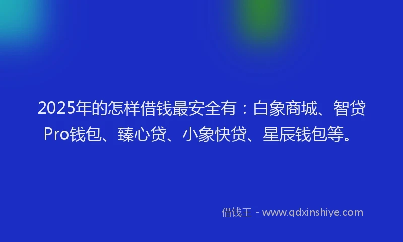 2025年的怎样借钱最安全有：白象商城、智贷Pro钱包、臻心贷、小象快贷、星辰钱包等。