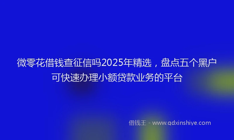 微零花借钱查征信吗2025年精选，盘点五个黑户可快速办理小额贷款业务的平台