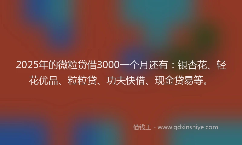 2025年的微粒贷借3000一个月还有：银杏花、轻花优品、粒粒贷、功夫快借、现金贷易等。