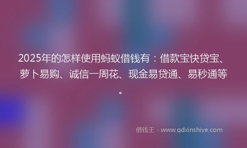 2025年的怎样使用蚂蚁借钱有：借款宝快贷宝、萝卜易购、诚信一周花、现金易贷通、易秒通等。