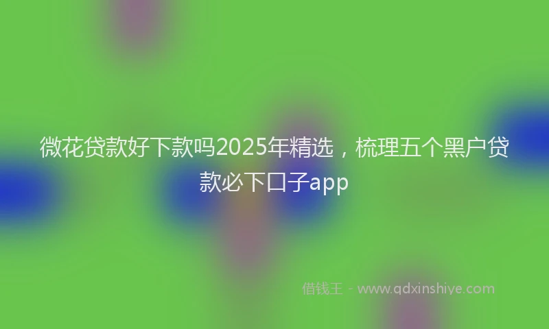 微花贷款好下款吗2025年精选，梳理五个黑户贷款必下口子app