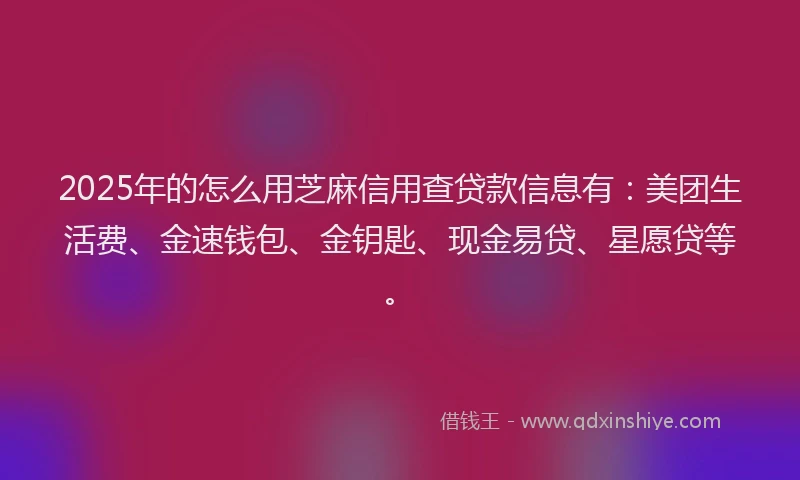 2025年的怎么用芝麻信用查贷款信息有：美团生活费、金速钱包、金钥匙、现金易贷、星愿贷等。