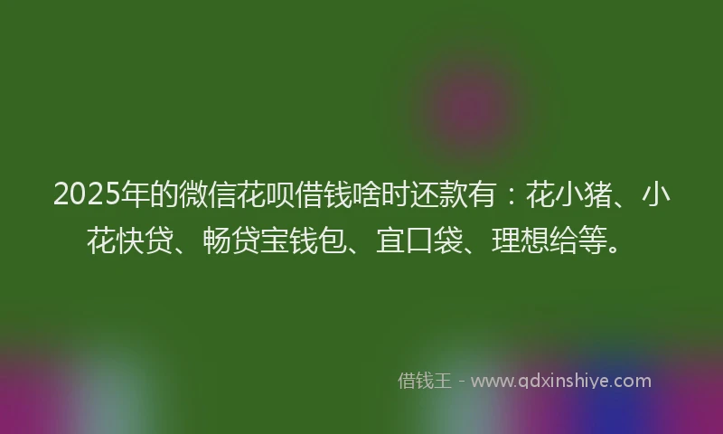 2025年的微信花呗借钱啥时还款有：花小猪、小花快贷、畅贷宝钱包、宜口袋、理想给等。