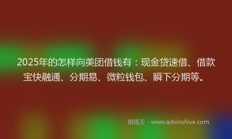 2025年的怎样向美团借钱有：现金贷速借、借款宝快融通、分期易、微粒钱包、瞬下分期等。
