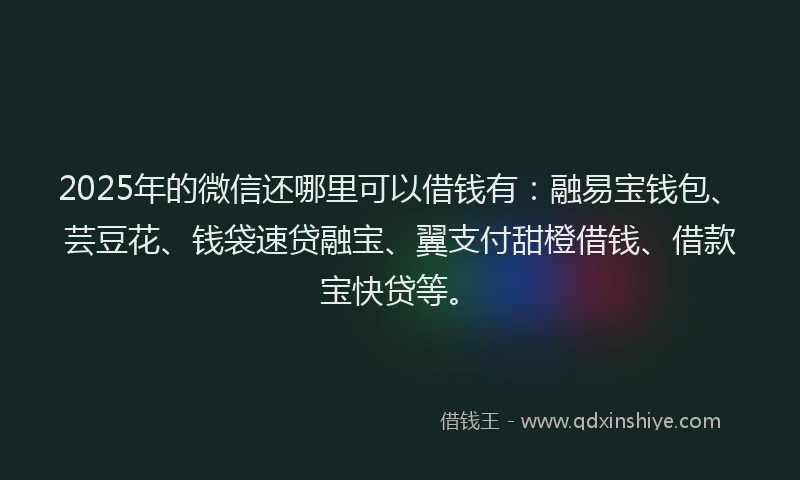 2025年的微信还哪里可以借钱有：融易宝钱包、芸豆花、钱袋速贷融宝、翼支付甜橙借钱、借款宝快贷等。