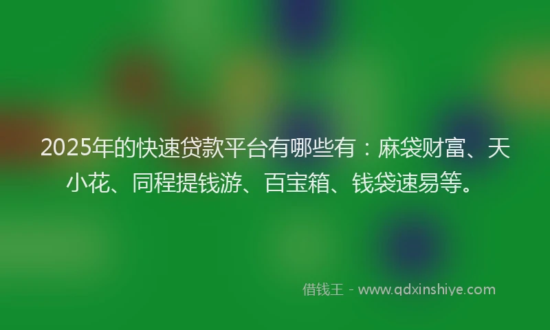 2025年的快速贷款平台有哪些有：麻袋财富、天小花、同程提钱游、百宝箱、钱袋速易等。