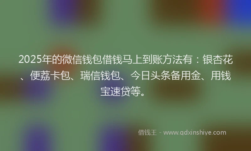 2025年的微信钱包借钱马上到账方法有：银杏花、便荔卡包、瑞信钱包、今日头条备用金、用钱宝速贷等。