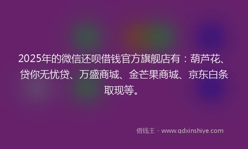 2025年的微信还呗借钱官方旗舰店有：葫芦花、贷你无忧贷、万盛商城、金芒果商城、京东白条取现等。
