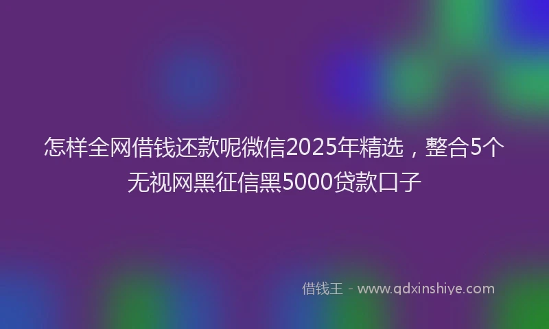 怎样全网借钱还款呢微信2025年精选，整合5个无视网黑征信黑5000贷款口子