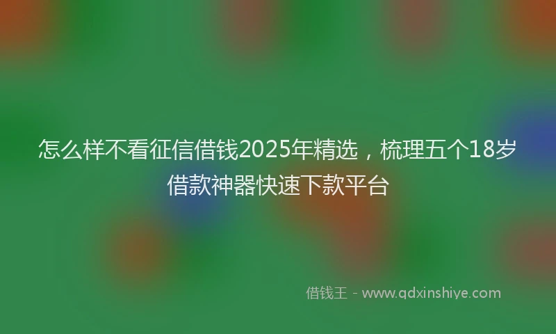 怎么样不看征信借钱2025年精选，梳理五个18岁借款神器快速下款平台