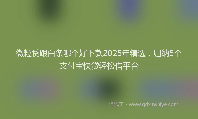 微粒贷跟白条哪个好下款2025年精选，归纳5个支付宝快贷轻松借平台