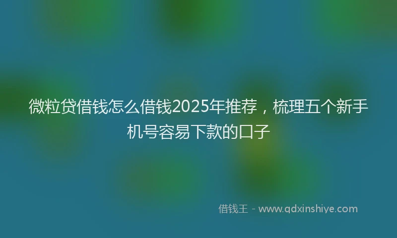 微粒贷借钱怎么借钱2025年推荐，梳理五个新手机号容易下款的口子