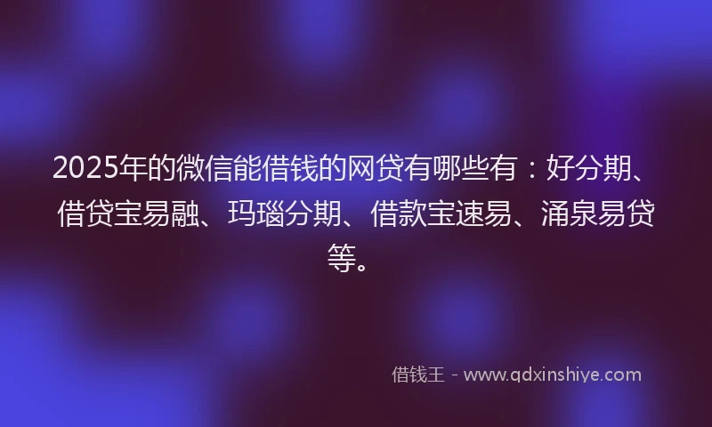 2025年的微信能借钱的网贷有哪些有：好分期、借贷宝易融、玛瑙分期、借款宝速易、涌泉易贷等。