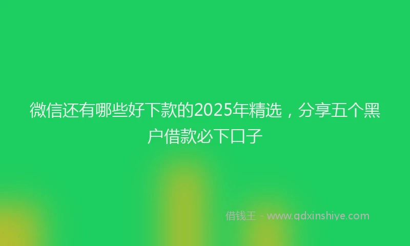 微信还有哪些好下款的2025年精选，分享五个黑户借款必下口子