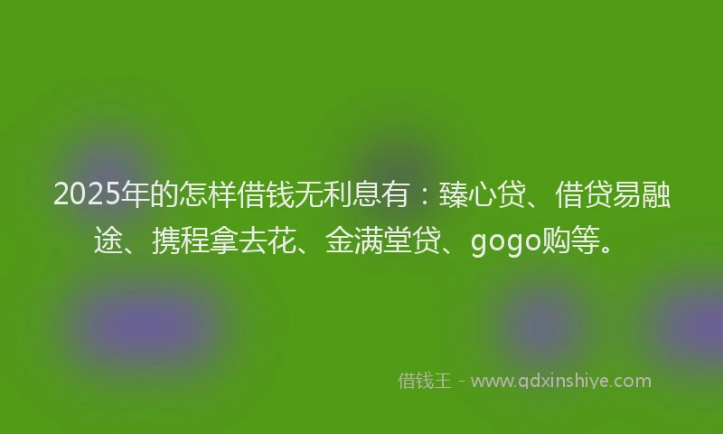 2025年的怎样借钱无利息有：臻心贷、借贷易融途、携程拿去花、金满堂贷、gogo购等。