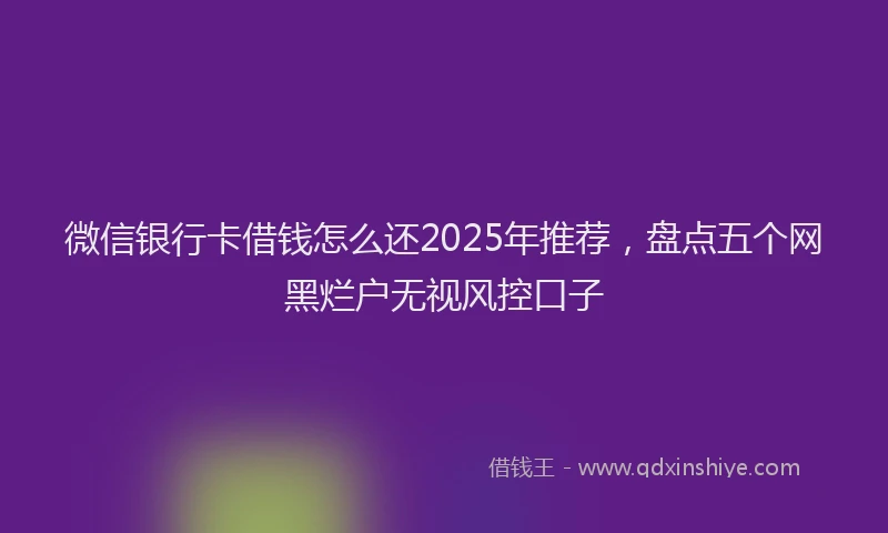 微信银行卡借钱怎么还2025年推荐，盘点五个网黑烂户无视风控口子
