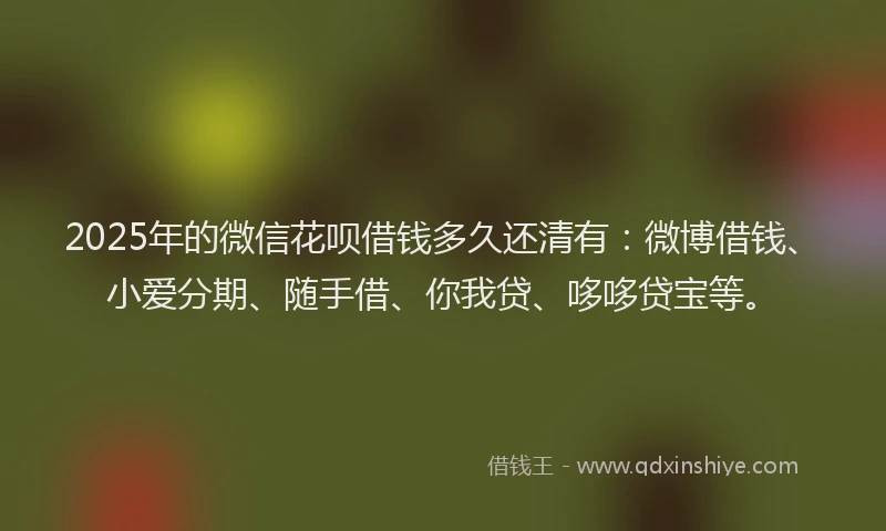 2025年的微信花呗借钱多久还清有：微博借钱、小爱分期、随手借、你我贷、哆哆贷宝等。