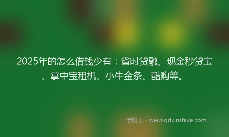 2025年的怎么借钱少有：省时贷融、现金秒贷宝、掌中宝租机、小牛金条、酷购等。