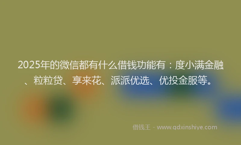2025年的微信都有什么借钱功能有：度小满金融、粒粒贷、享来花、派派优选、优投金服等。