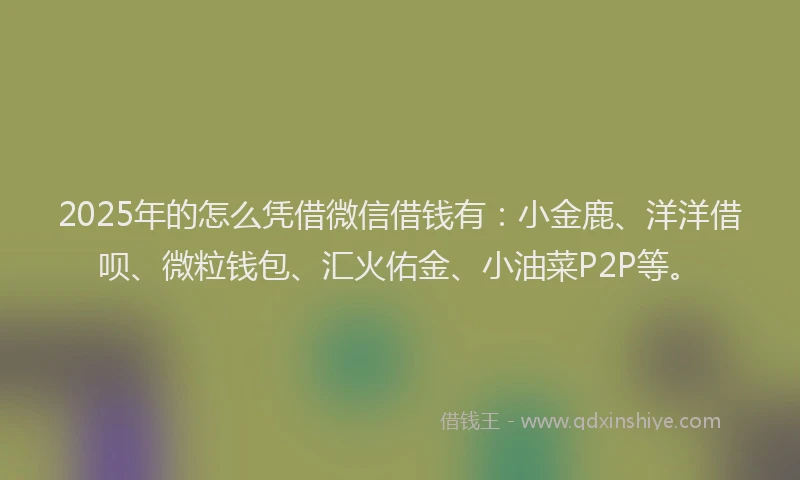 2025年的怎么凭借微信借钱有：小金鹿、洋洋借呗、微粒钱包、汇火佑金、小油菜P2P等。