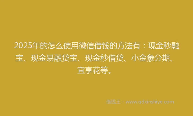 2025年的怎么使用微信借钱的方法有：现金秒融宝、现金易融贷宝、现金秒借贷、小金象分期、宜享花等。