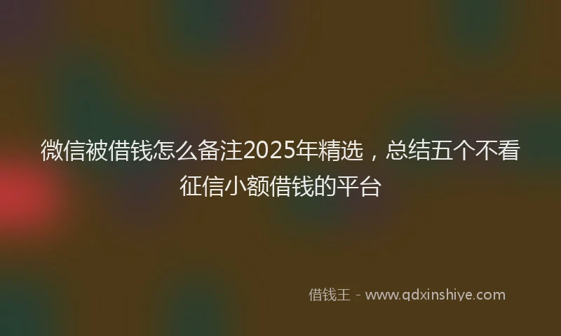微信被借钱怎么备注2025年精选，总结五个不看征信小额借钱的平台
