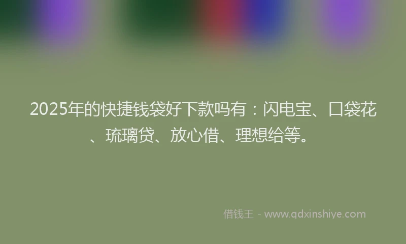2025年的快捷钱袋好下款吗有：闪电宝、口袋花、琉璃贷、放心借、理想给等。
