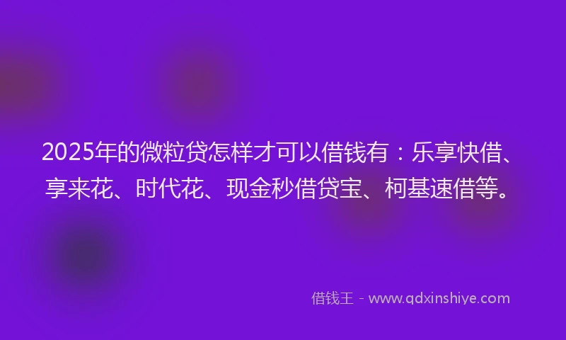 2025年的微粒贷怎样才可以借钱有：乐享快借、享来花、时代花、现金秒借贷宝、柯基速借等。
