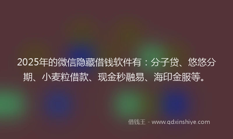 2025年的微信隐藏借钱软件有：分子贷、悠悠分期、小麦粒借款、现金秒融易、海印金服等。