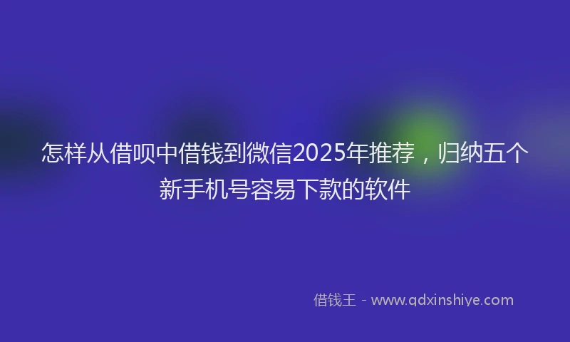 怎样从借呗中借钱到微信2025年推荐，归纳五个新手机号容易下款的软件