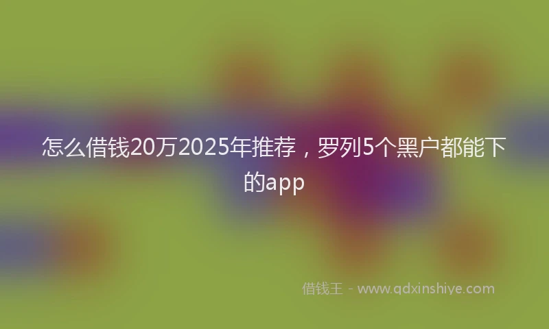 怎么借钱20万2025年推荐，罗列5个黑户都能下的app