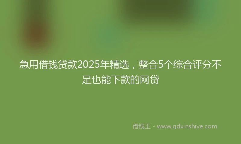 急用借钱贷款2025年精选，整合5个综合评分不足也能下款的网贷