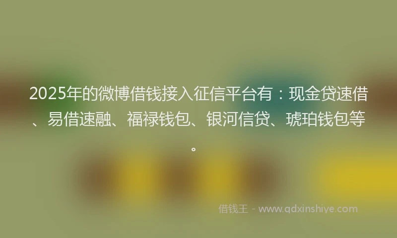 2025年的微博借钱接入征信平台有：现金贷速借、易借速融、福禄钱包、银河信贷、琥珀钱包等。