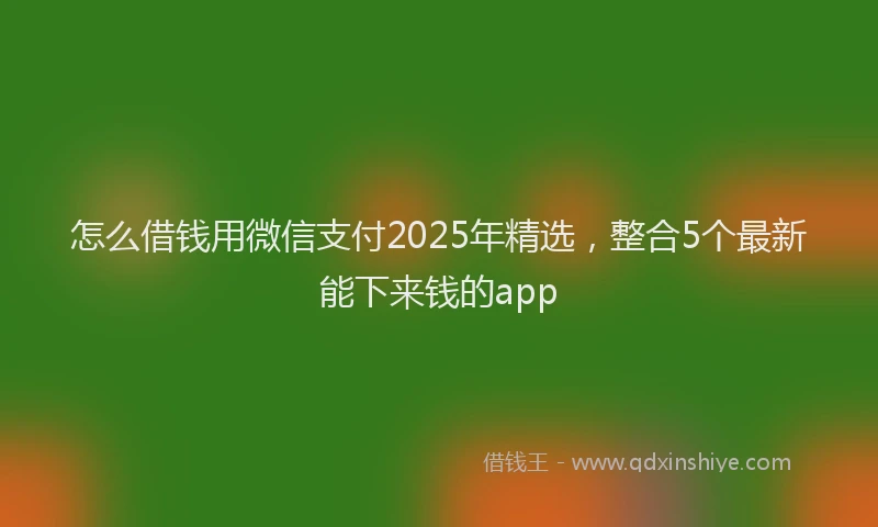 怎么借钱用微信支付2025年精选，整合5个最新能下来钱的app