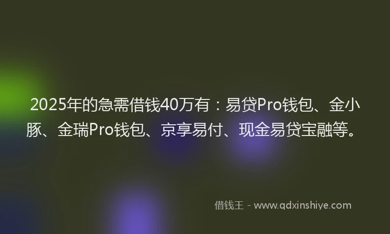 2025年的急需借钱40万有：易贷Pro钱包、金小豚、金瑞Pro钱包、京享易付、现金易贷宝融等。