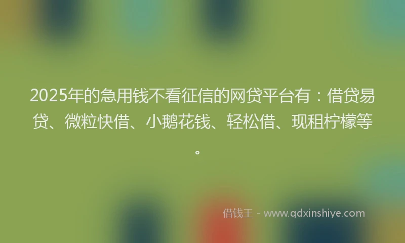 2025年的急用钱不看征信的网贷平台有：借贷易贷、微粒快借、小鹅花钱、轻松借、现租柠檬等。