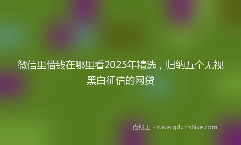 微信里借钱在哪里看2025年精选，归纳五个无视黑白征信的网贷