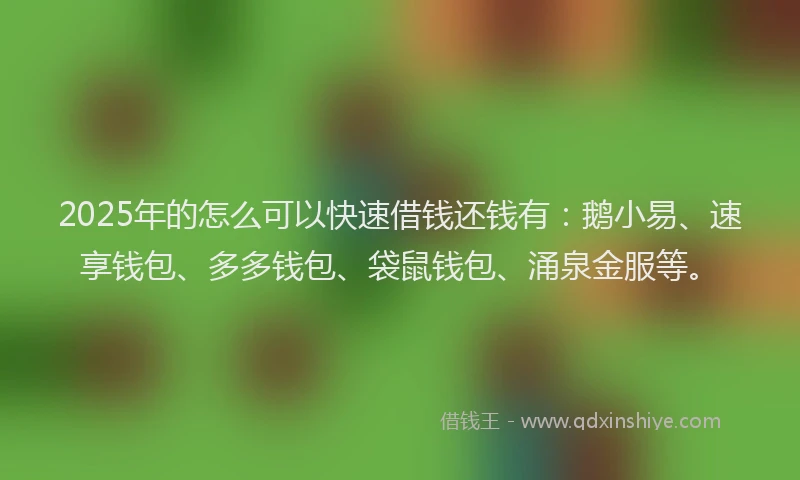 2025年的怎么可以快速借钱还钱有：鹅小易、速享钱包、多多钱包、袋鼠钱包、涌泉金服等。