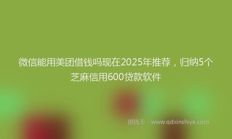 微信能用美团借钱吗现在2025年推荐，归纳5个芝麻信用600贷款软件