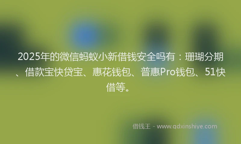 2025年的微信蚂蚁小新借钱安全吗有：珊瑚分期、借款宝快贷宝、惠花钱包、普惠Pro钱包、51快借等。